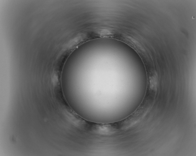 X0000113200618200909171515