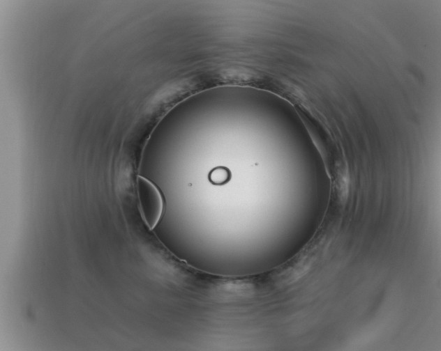 X0000113200619200909171515