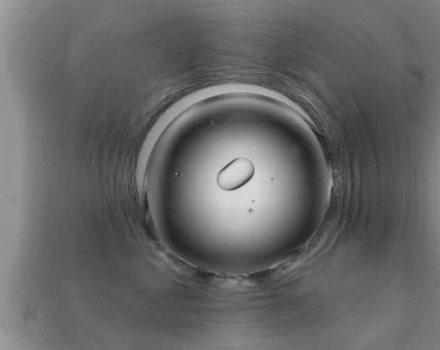 X0000113200621200909171515