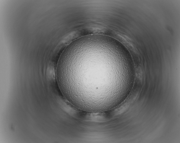 X0000113200622200909171515