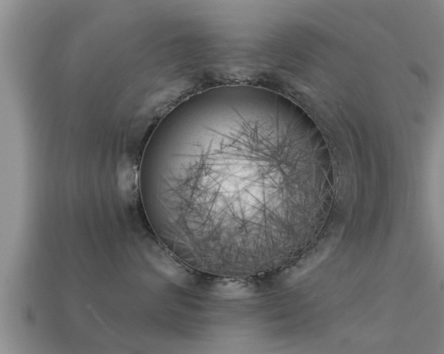 X0000113200624200909171515