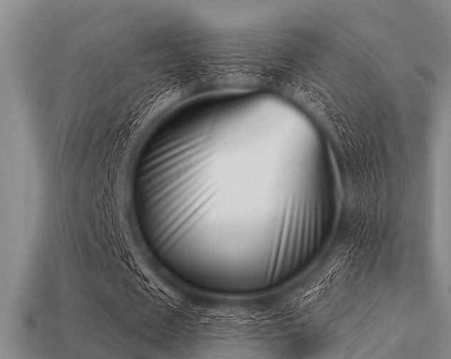 X0000113200625200909171514