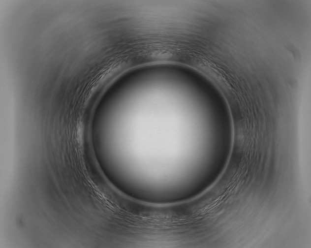 X0000113200626200909171514