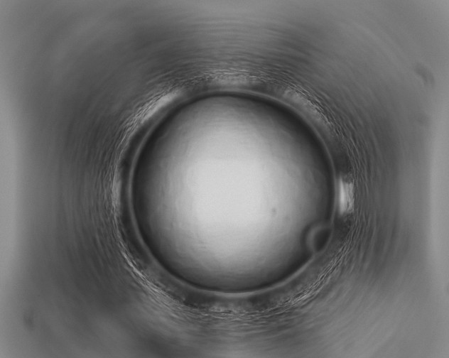 X0000113200627200909171514