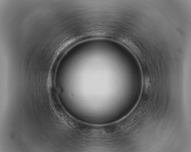 X0000113200628200909171514