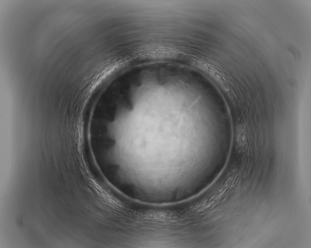 X0000113200629200909171514