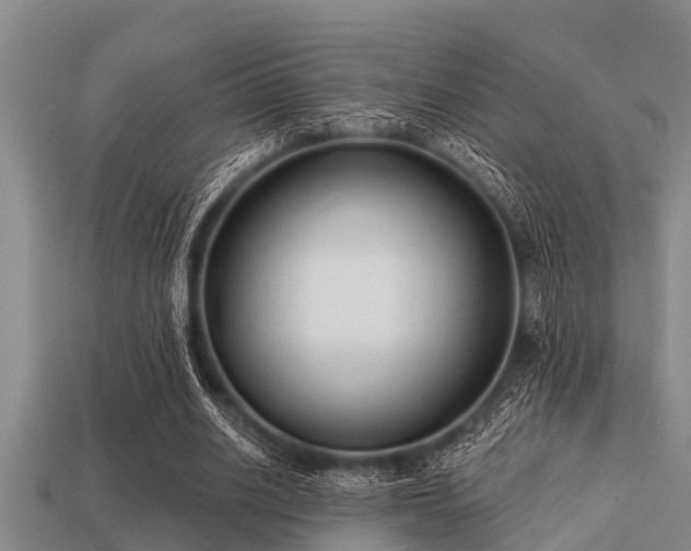 X0000113200630200909171514