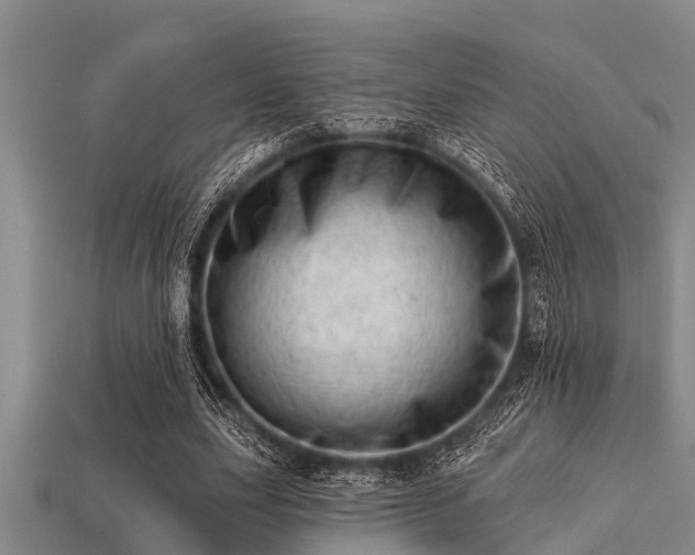 X0000113200631200909171514