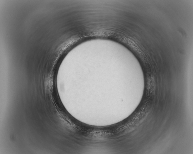 X0000113200632200909171514