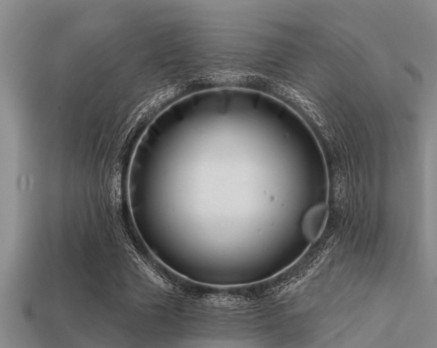 X0000113200633200909171514