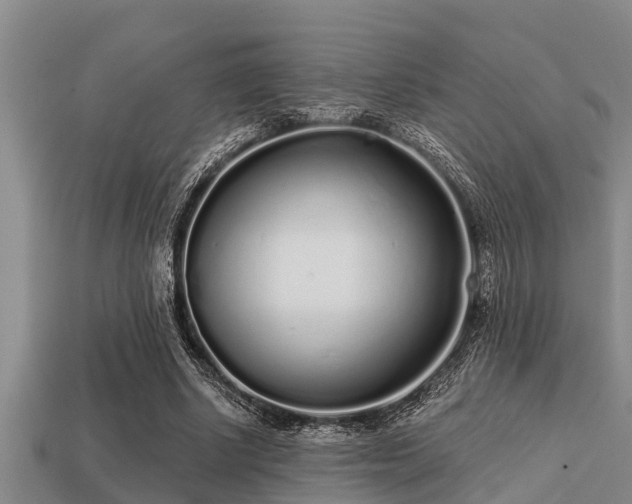 X0000113200634200909171514