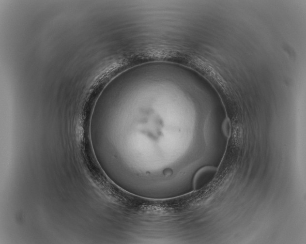 X0000113200635200909171514