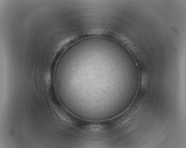 X0000113200636200909171514