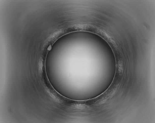 X0000113200637200909171514