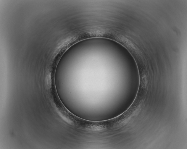 X0000113200638200909171514