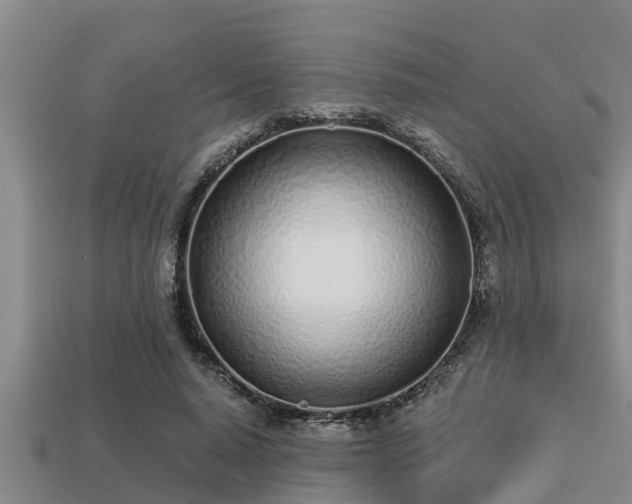 X0000113200640200909171514