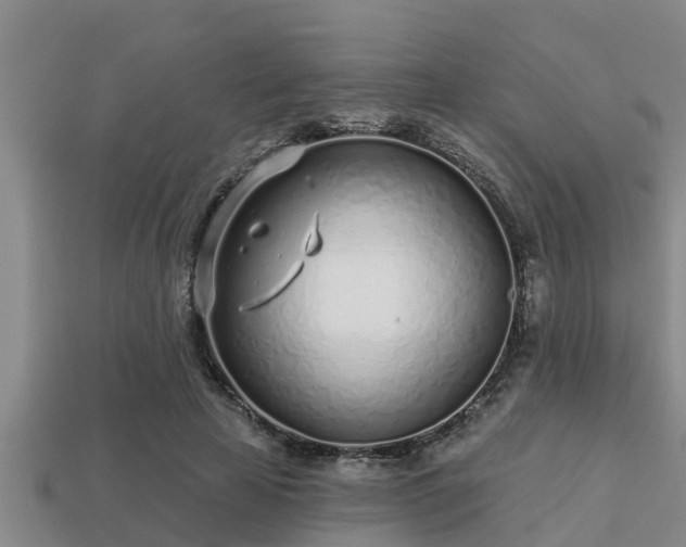 X0000113200641200909171514