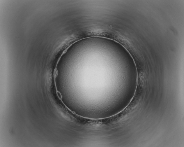 X0000113200642200909171514