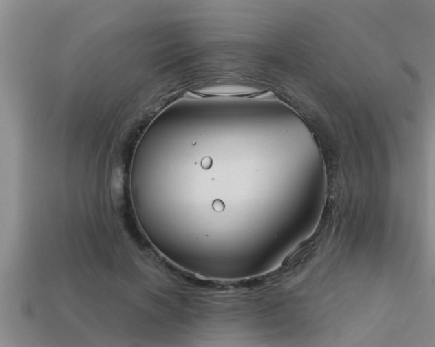 X0000113200646200909171514