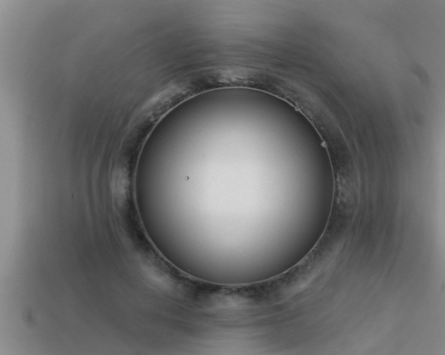 X0000113200648200909171514