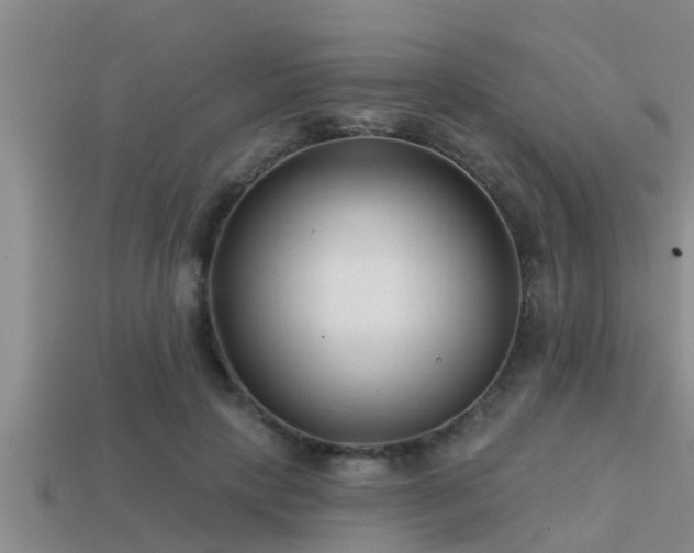 X0000113200649200909171514