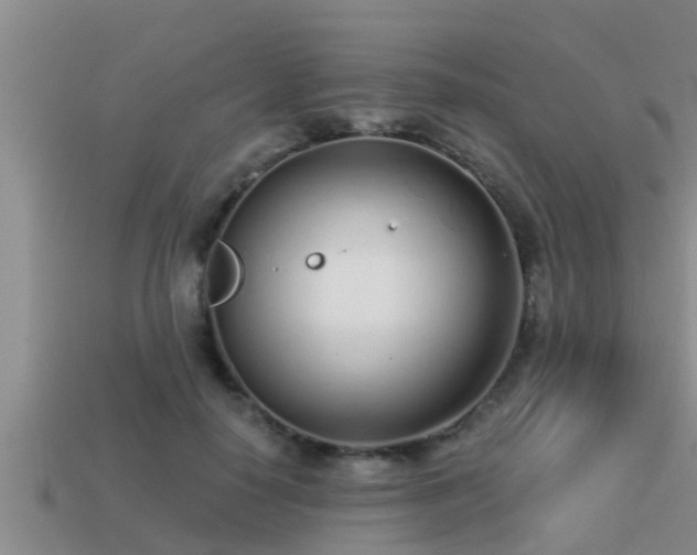 X0000113200650200909171514