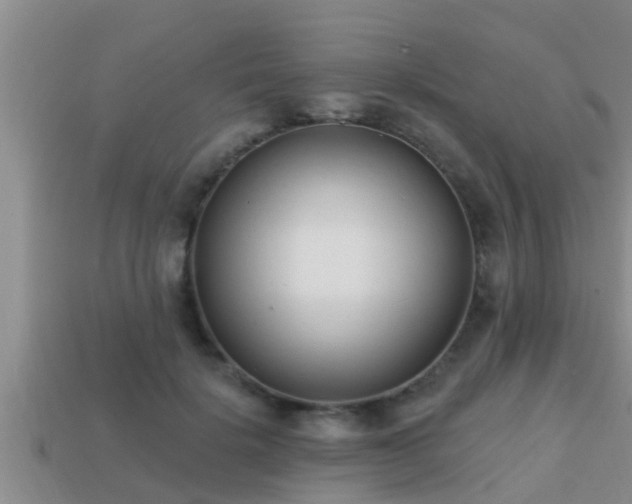 X0000113200652200909171514