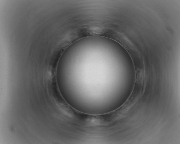 X0000113200655200909171515