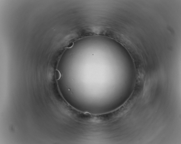 X0000113200656200909171515