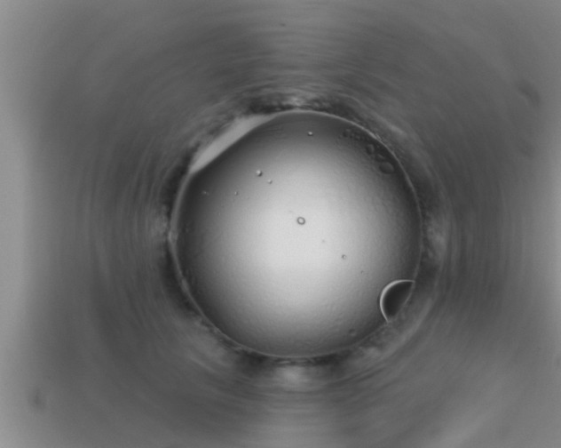 X0000113200657200909171515