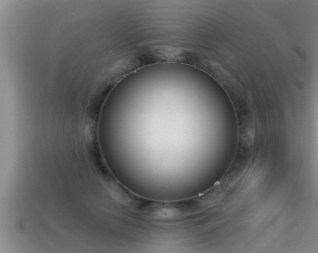 X0000113200658200909171515