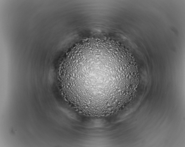 X0000113200659200909171515