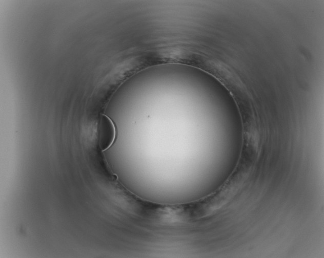 X0000113200660200909171515