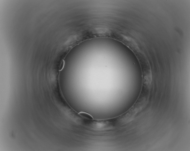 X0000113200662200909171515