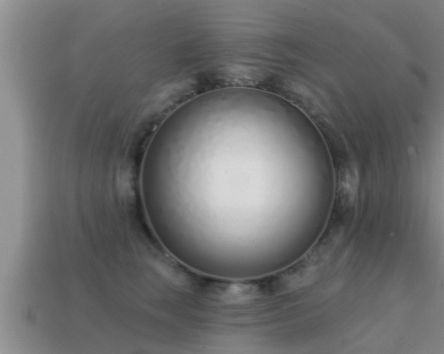 X0000113200663200909171515