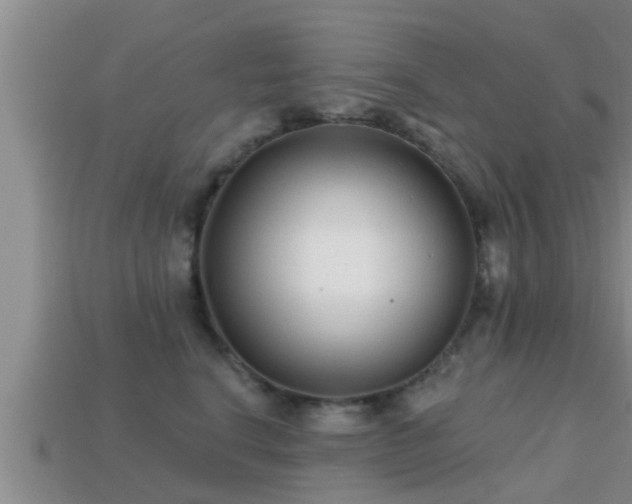 X0000113200664200909171515