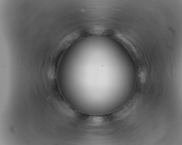 X0000113200665200909171515