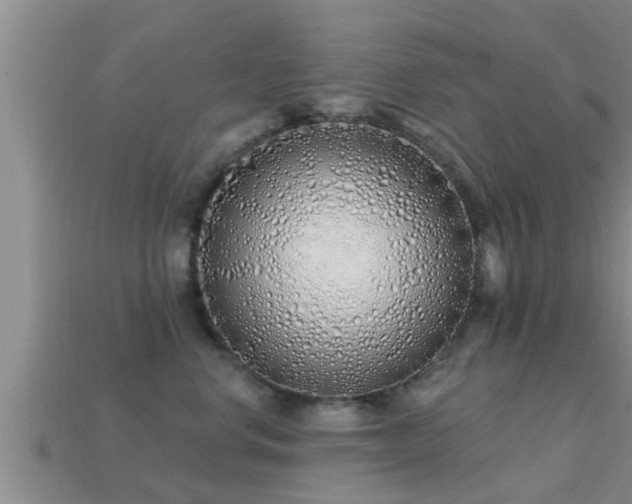 X0000113200668200909171515