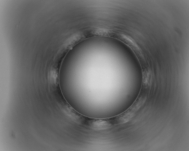 X0000113200669200909171515