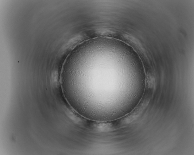 X0000113200670200909171515