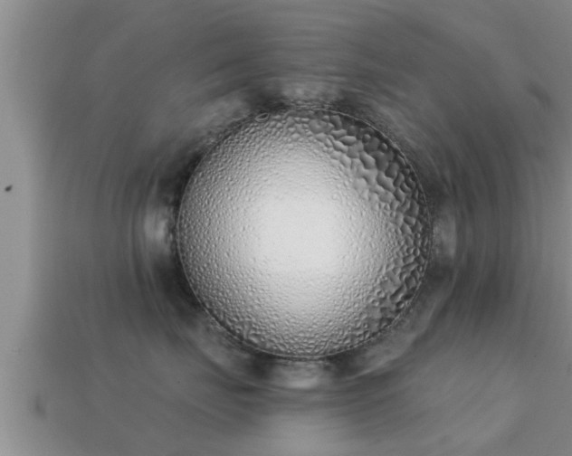 X0000113200671200909171515