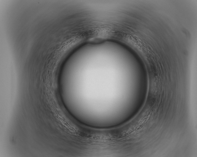 X0000113200673200909171514