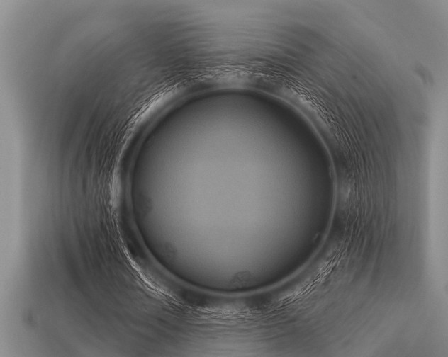 X0000113200674200909171514