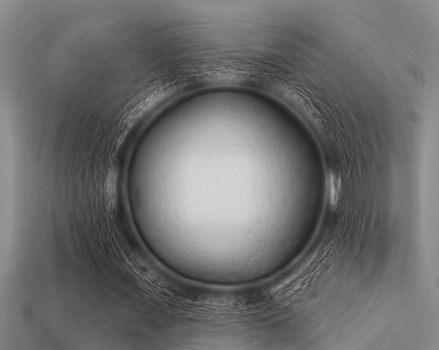 X0000113200675200909171514