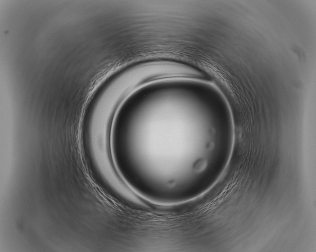 X0000113200676200909171514