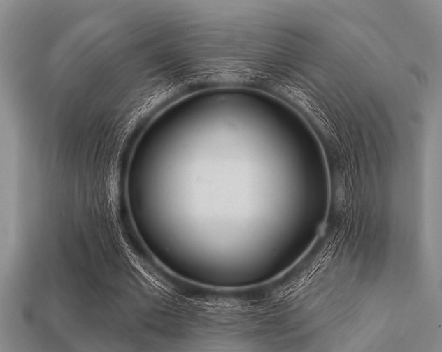 X0000113200677200909171514