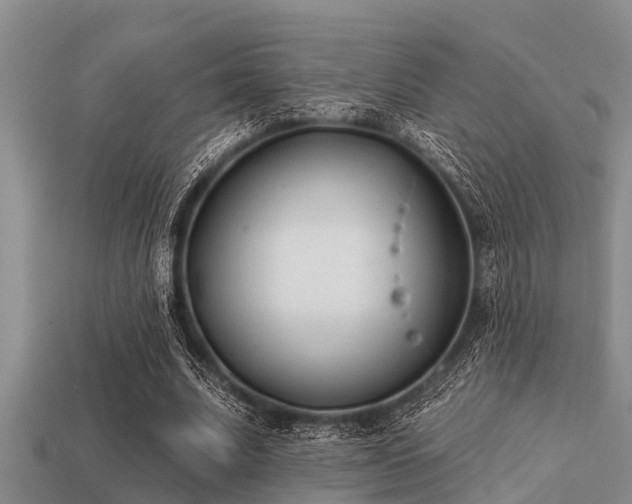 X0000113200679200909171514