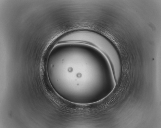 X0000113200680200909171514