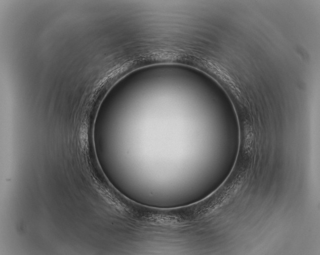 X0000113200681200909171514