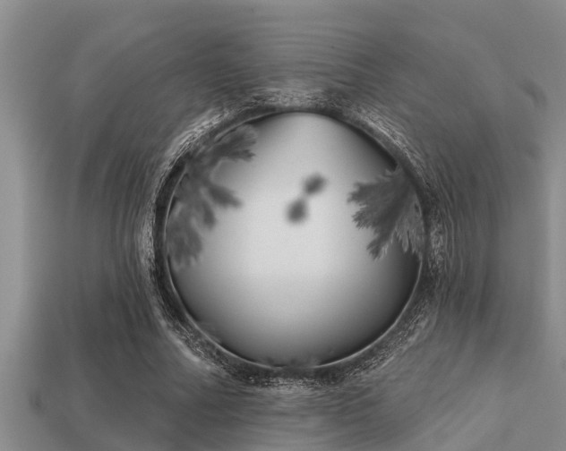 X0000113200682200909171514